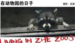 麣Ӱٳ ƽңչ