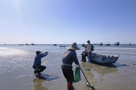 �۽�������Ӱ �麣��Ӱ�Ҹ�ï���ɷ�