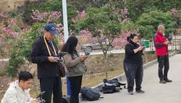 ����ɽ�Ϸ��廨����չ�ɷ�