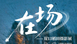 �麣����Ӱ��Э�������μ� ���ڳ� ���� �¿ڵ�����Ӱչ�� �ֳ�������